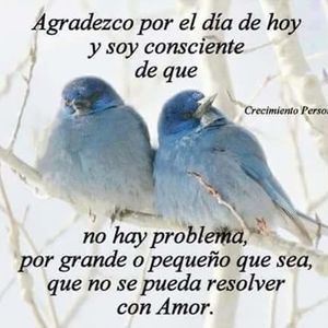 Meet your Posher, Fermin